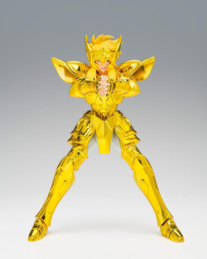 AQUARIUS HYOGA -INHERITOR OF THE GOLD CLOTH-Figuras-DAM-Akibara Xpress