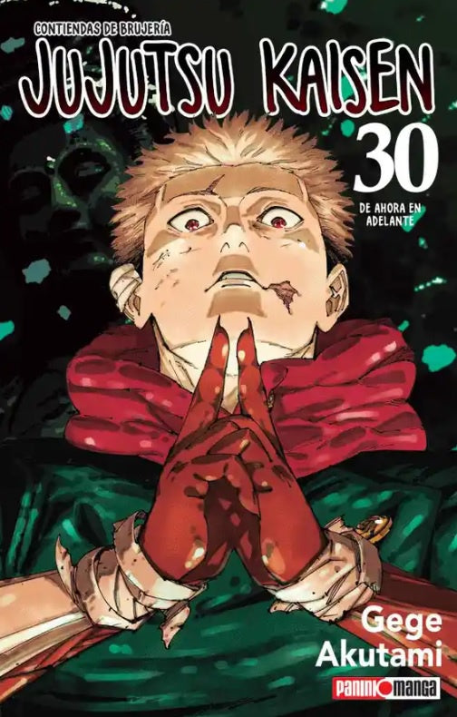 JUJUTSU KAISEN N.30-Mangas Panini-PANINI-Akibara Xpress