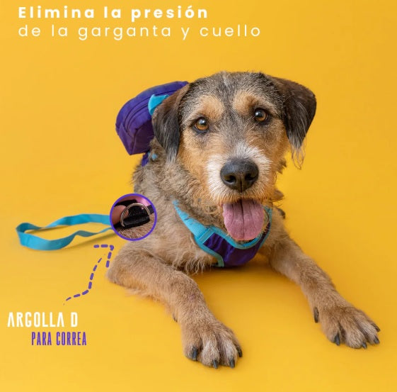 Mochila para perro Capsule Corp-Mochilas/Loncheras-Yadatex-Akibara Xpress