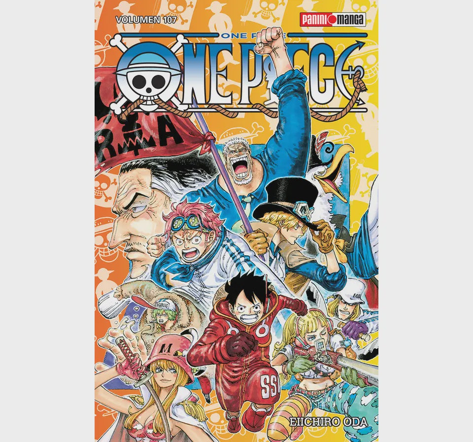ONE PIECE N.107-Mangas Panini-PANINI-Akibara Xpress