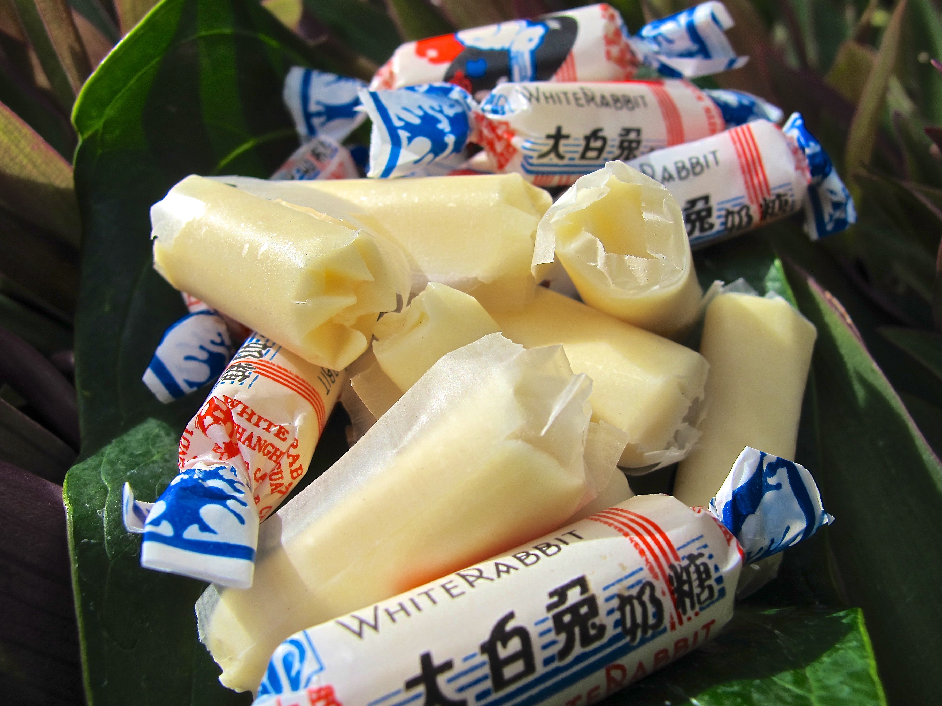 WHITE RABBIT Candy individual-Alimentos-Asian Food-Akibara Xpress