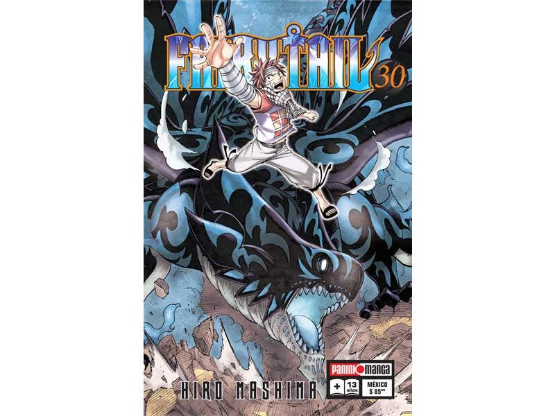 FAIRY TAIL N.30