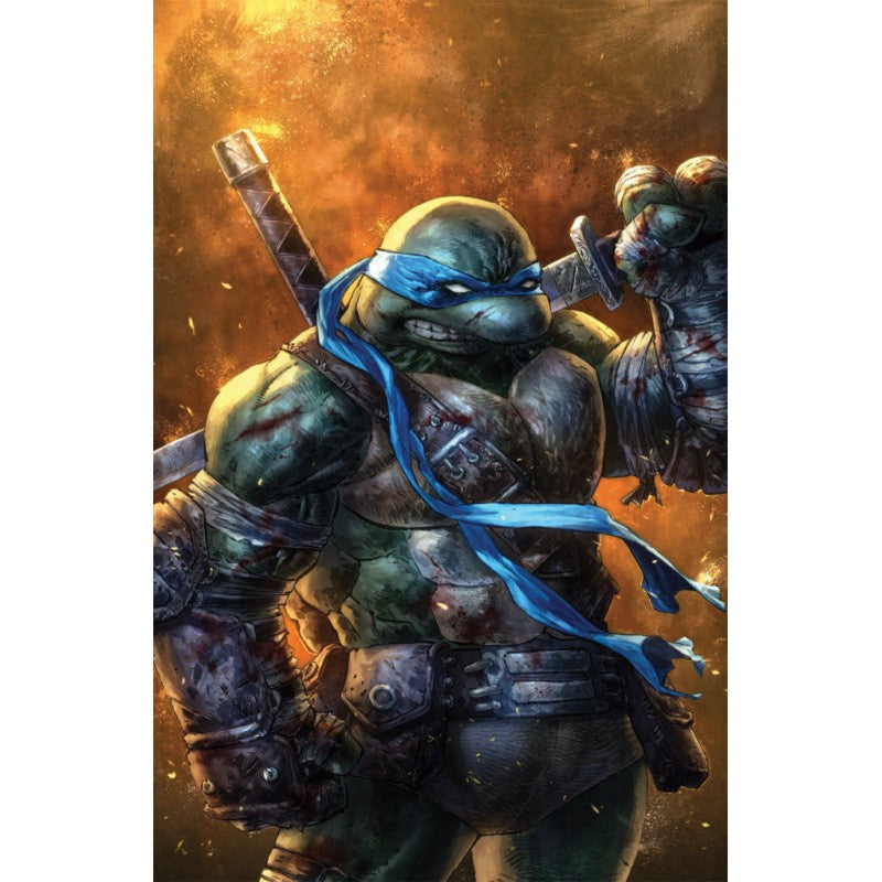COMIC TEENAGE MUTANT NINJA TURTLES THE LAST RONIN 2F