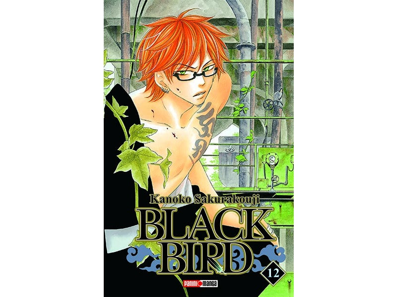 BLACK BIRD N.12-Mangas Panini-PANINI-Akibara Xpress