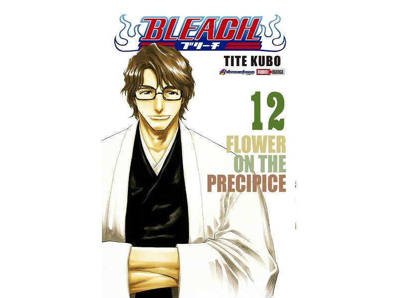 BLEACH N.12-Mangas Panini-PANINI-Akibara Xpress