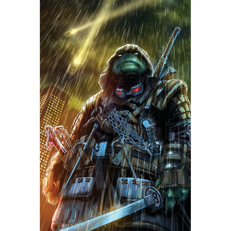 COMIC TEENAGE MUTANT NINJA TURTLES THE LAST RONIN 2C-Mangas Kamite-Manga Kamite-Akibara Xpress