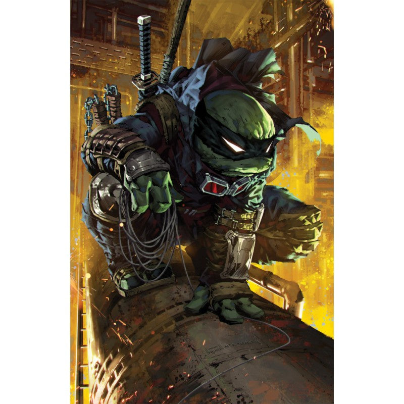 COMIC TEENAGE MUTANT NINJA TURTLES THE LAST RONIN 2H-Mangas Kamite-Manga Kamite-Akibara Xpress