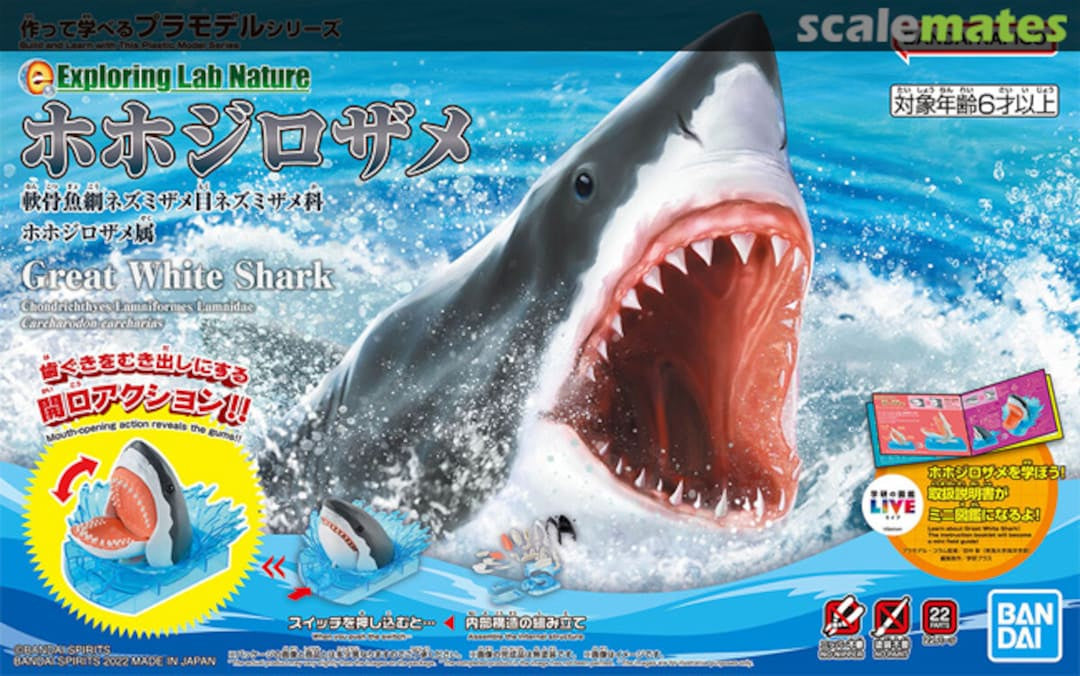 Exploring Lab Nature Great White Shark Model Kit-Figuras-BANDAI SPIRITS-Akibara Xpress