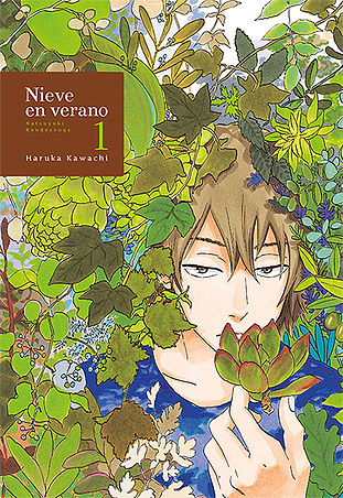NIEVE EN VERANO 1 EUROPA-Mangas Españoles-TOMODOMO-Akibara Xpress