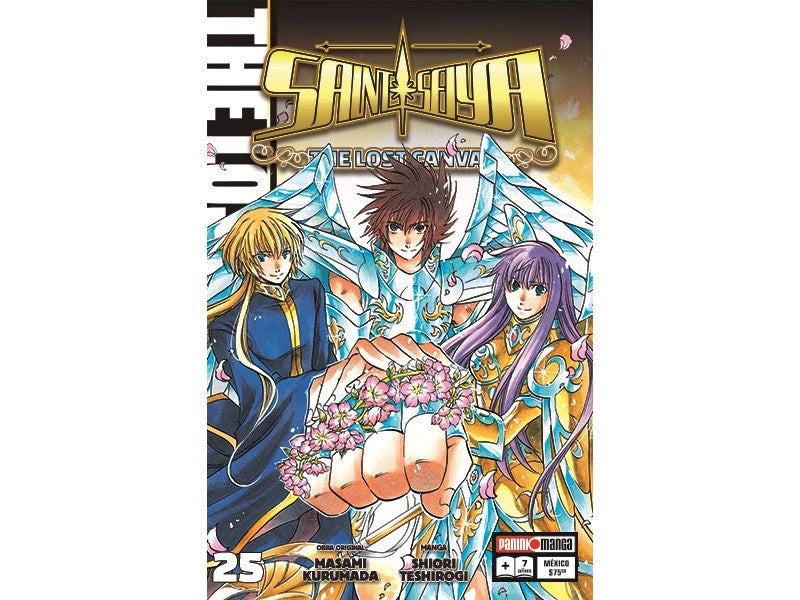 SAINT SEIYA:THE LOST CAN N.25-Mangas Panini-PANINI-Akibara Xpress