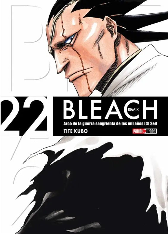 BLEACH REMIX N.22