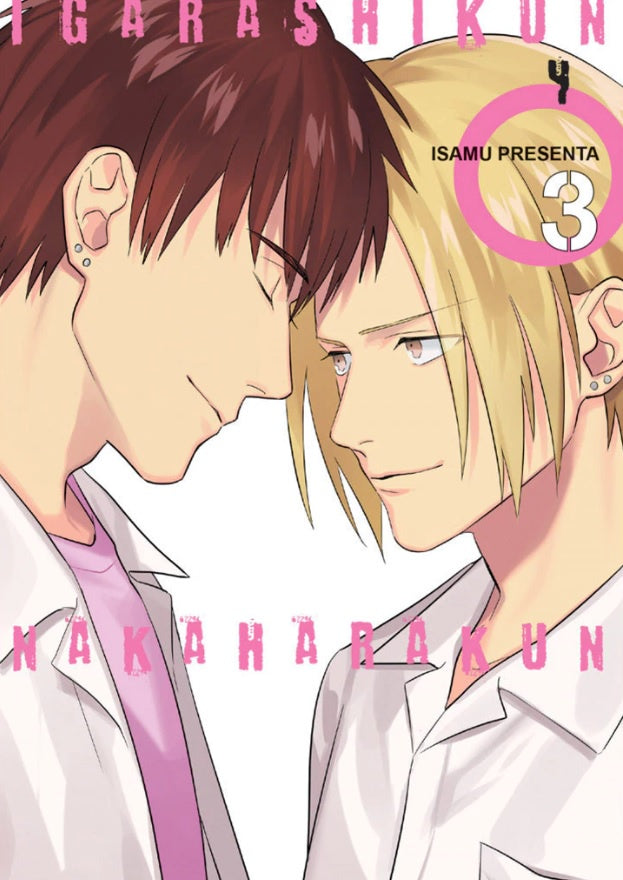 IGARASHI KUN Y NAKAHARA KU N.3-Mangas Kamite-Manga Kamite-Akibara Xpress