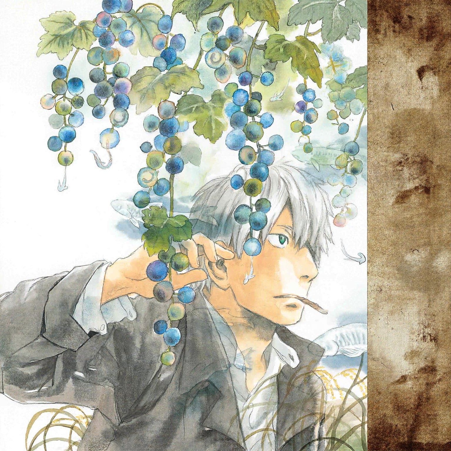 MUSHISHI N.3-Mangas Panini-PANINI-Akibara Xpress (Limpia)