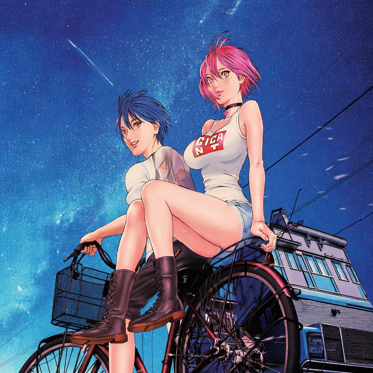 GIGANT N.10-Mangas Panini-PANINI-Akibara Xpress (Limpia)