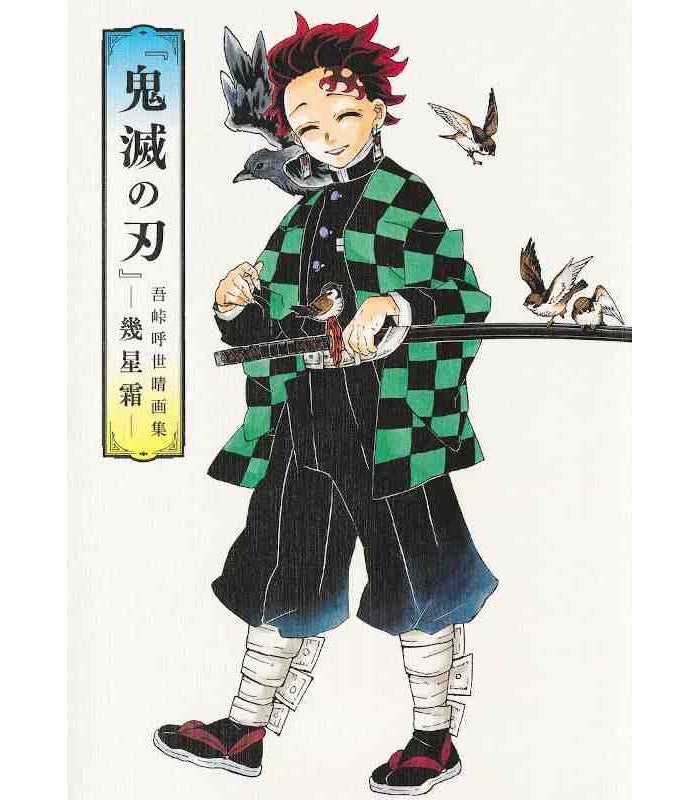 DEMON SLAYER KOYOHARU GOTOUGE ART BOOK JAPONES