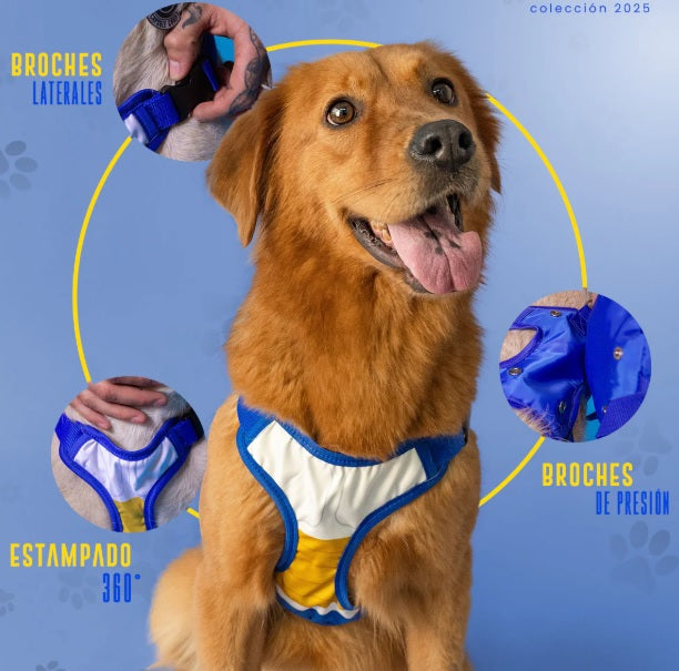 Mochila para perro Vegeta-Mochilas/Loncheras-Yadatex-Akibara Xpress