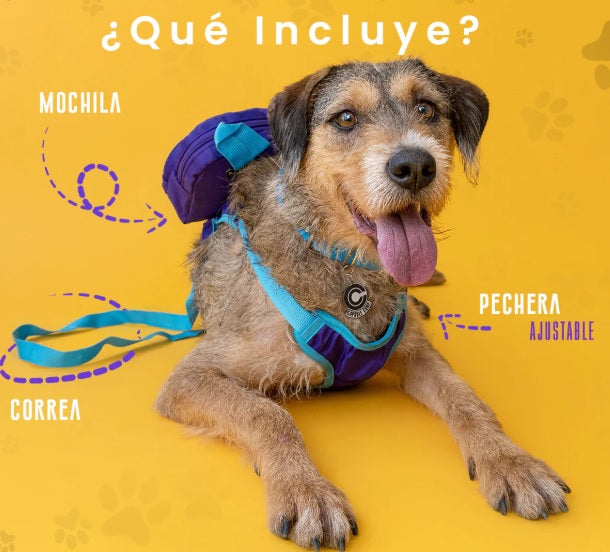 Mochila para perro Capsule Corp