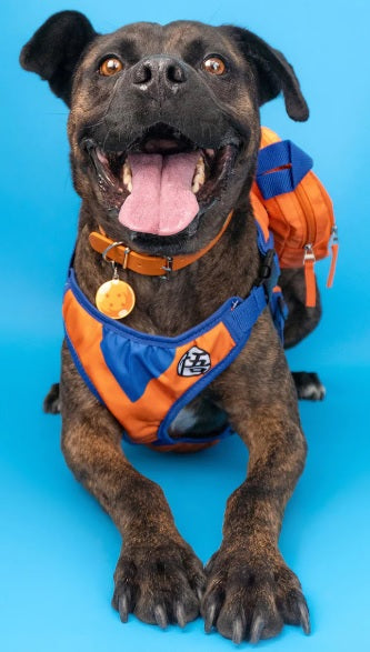 Mochila para perro Goku