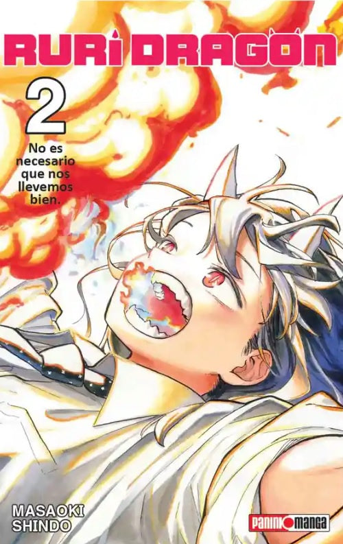 RURI DRAGON N.2-Mangas Panini-PANINI-Akibara Xpress