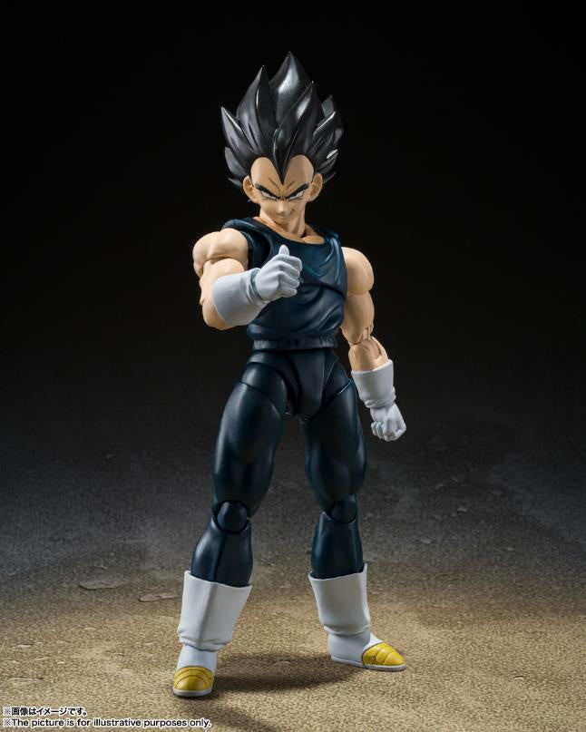 SH FIGUARTS VEGETA SUPER HERO-Figuras-BANDAI-Akibara Xpress