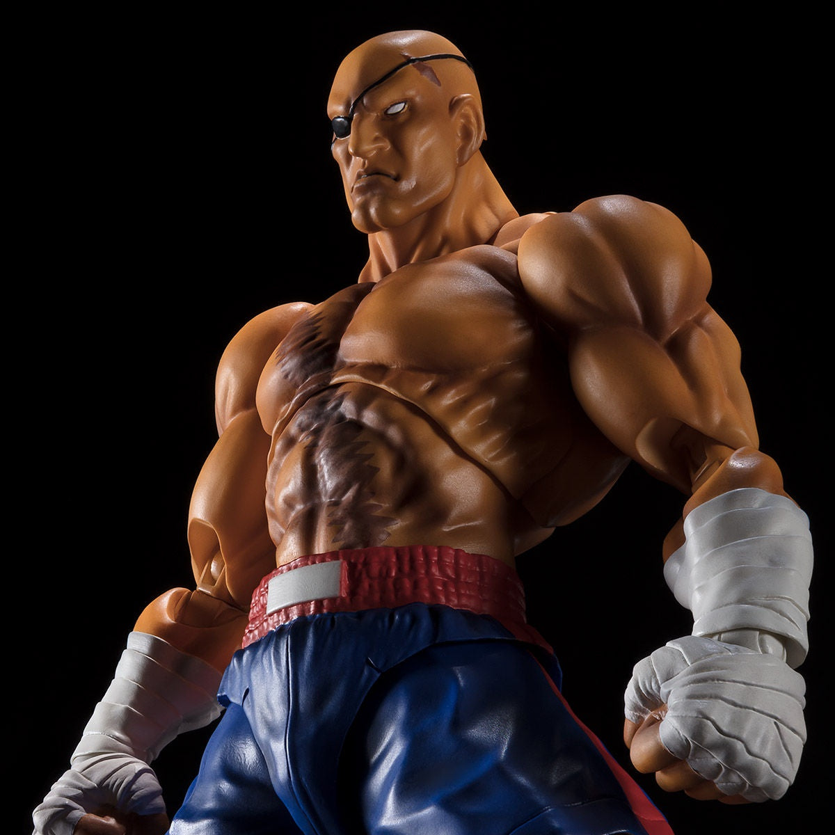 SH Figuarts Sagat