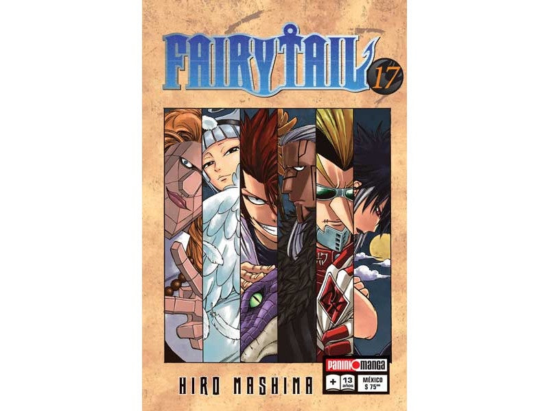 FAIRY TAIL N.17
