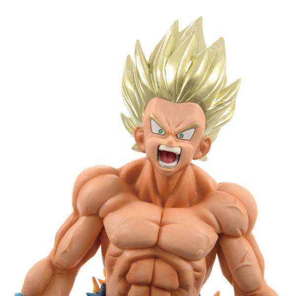 Blood of Saiyans Son Gokou