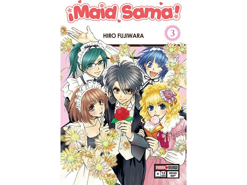 MAID SAMA N.3