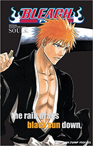 BLEACH OFFICIAL CHARACTER BOOK SOULS INGLES