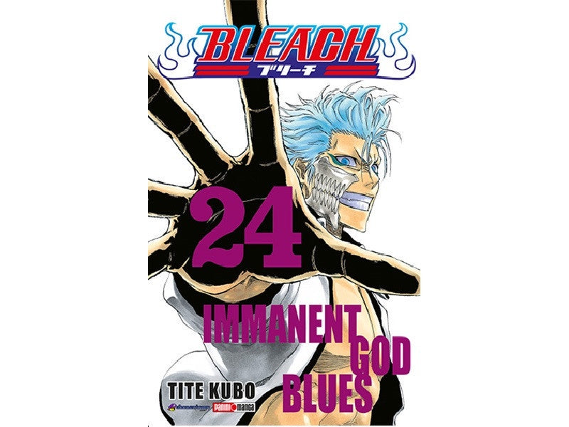 BLEACH N.24