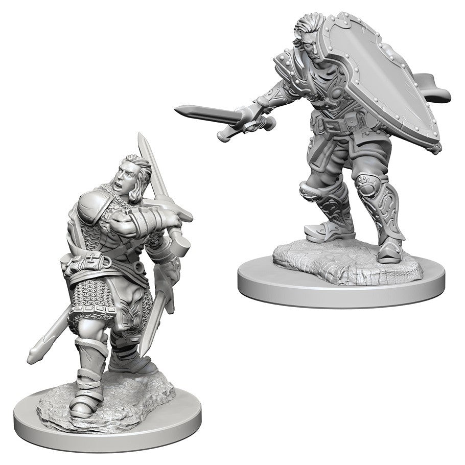 D&D Nolzur’s Marvelous Unpainted Minis: Human Paladin