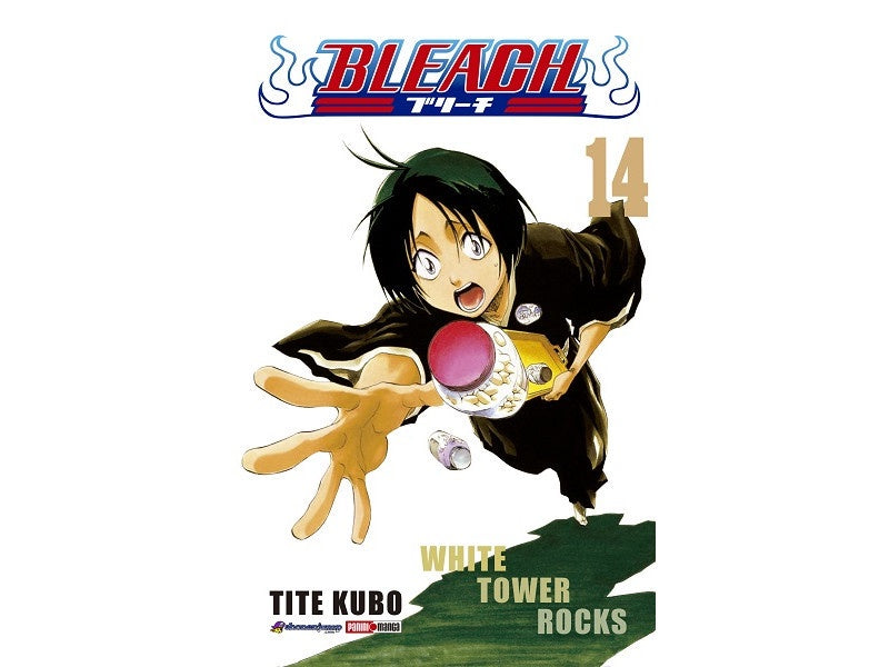 BLEACH N.14