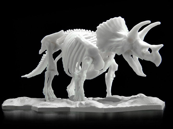 Dinasaur Model Kit Limex Skeleton Triceratops