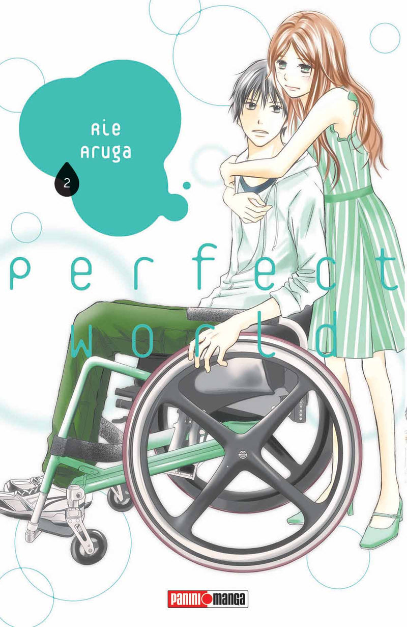 PERFECT WORLD N.2