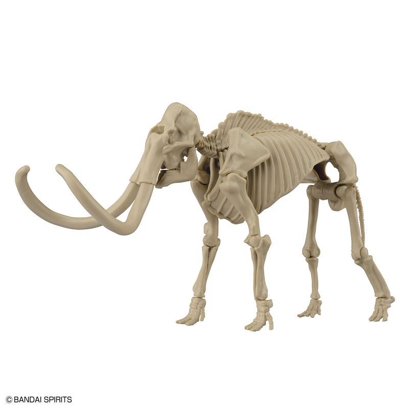 Exploring Lab Nature Mammoth Model Kit