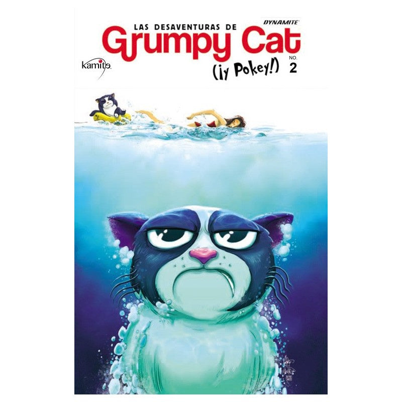 COMIC GRUMPY CAT 2-C
