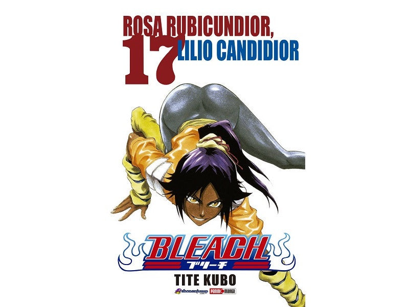 BLEACH N.17-Mangas Panini-PANINI-Akibara Xpress