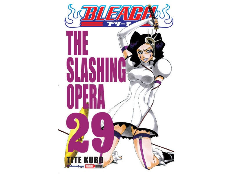 BLEACH N.29-Mangas Panini-PANINI-Akibara Xpress