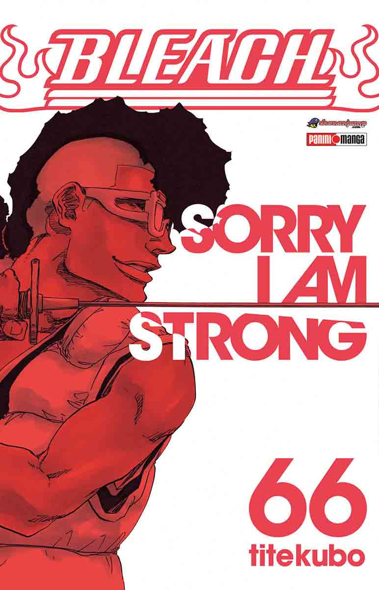 BLEACH N.66-Mangas Panini-PANINI-Akibara Xpress