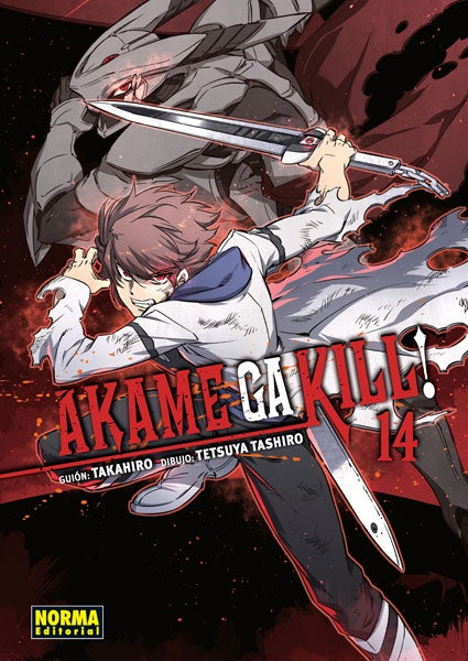 AKAME GA KILL! 14 EUROPA