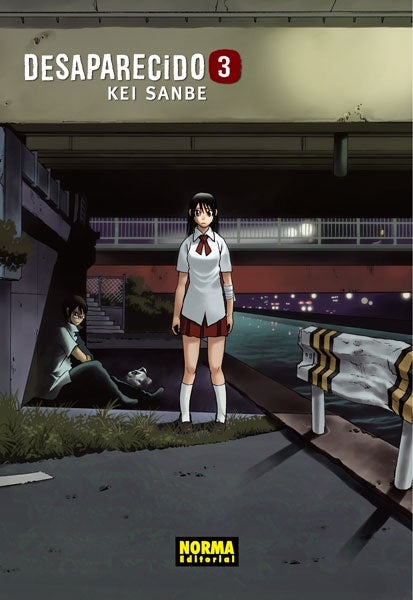 DESAPARECIDO 3 EUROPA-Mangas Españoles-NORMA-Akibara Xpress