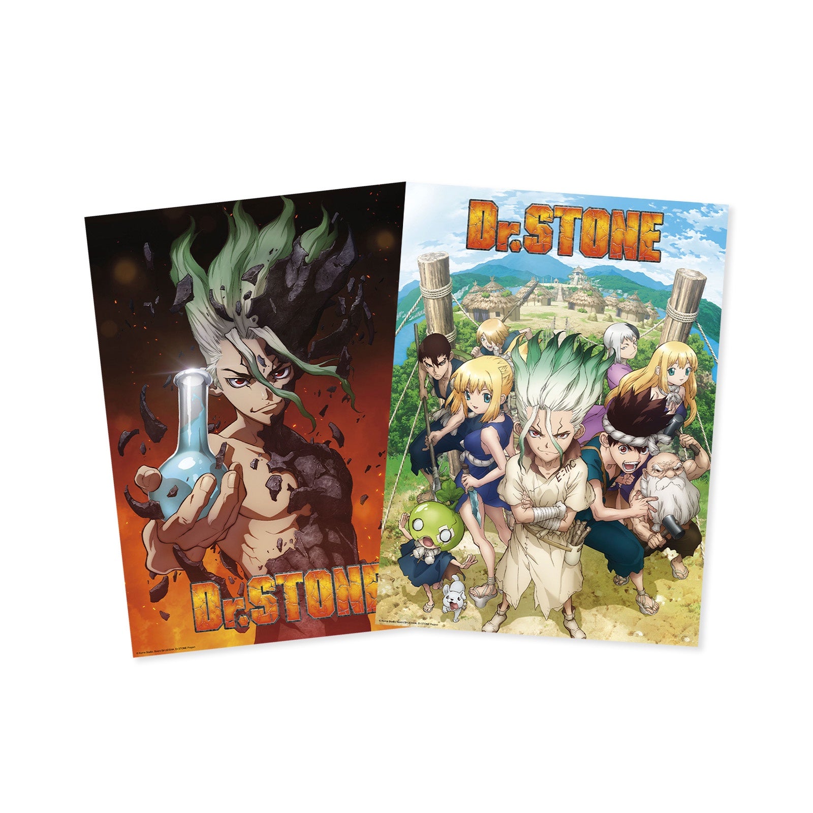 DR STONE - Boxed Poster Set (15x20" posters)-Poster-ABYSTYLE-Akibara Xpress