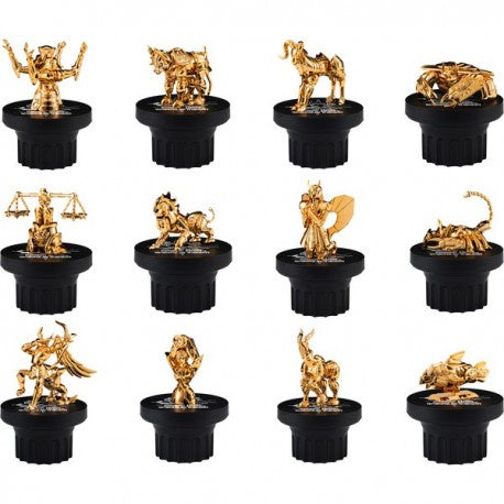 Saint Seiya Appendix Gold Cloth