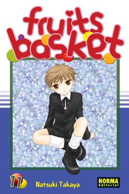 FRUITS BASKET 11 EUROPA-Mangas Españoles-NORMA-Akibara Xpress