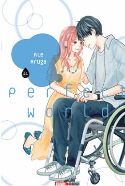 PERFECT WORLD N.11